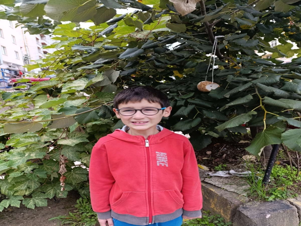 undefined