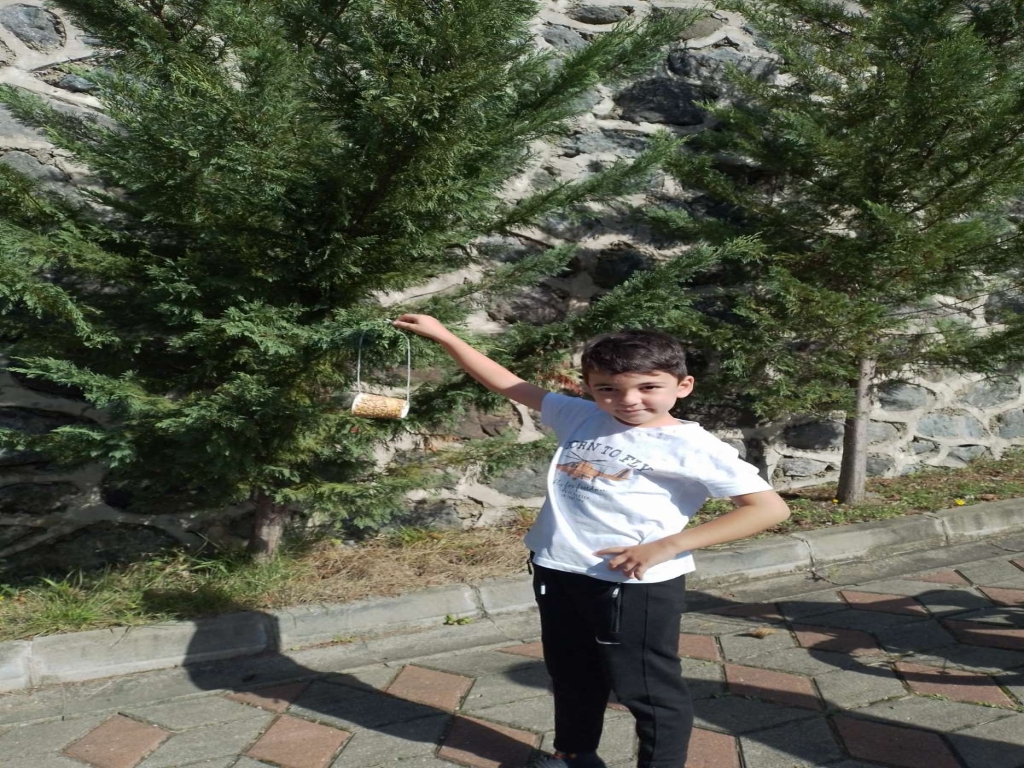 undefined