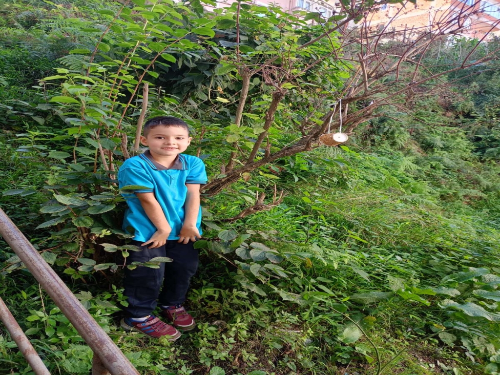 undefined
